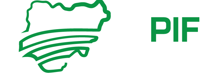 Nigerian Peering & Interconnection Forum